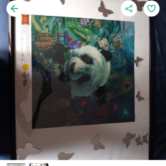 Chinese Panda - Picture 2 of 2